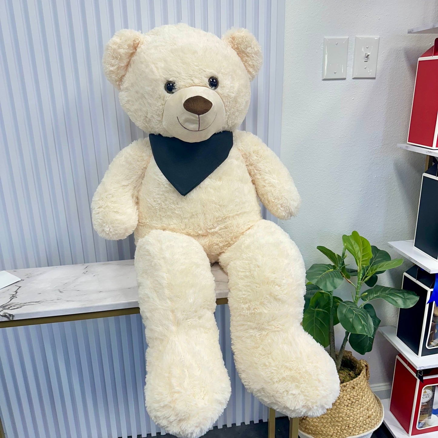 Cream Teddy Bear - Large - Magic World Flowers
