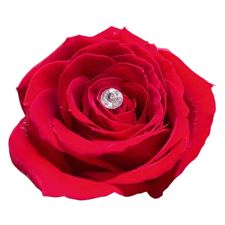 Full Crystals for Ramo Buchon - Magic World Flowers