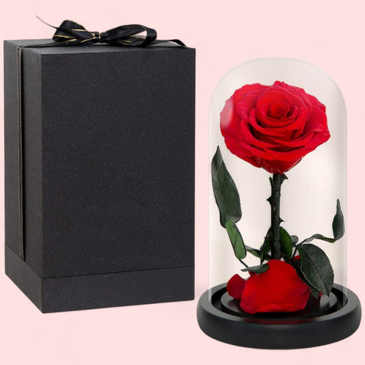 Preserved Red Rose in Glass Dome - Magic World Flowers