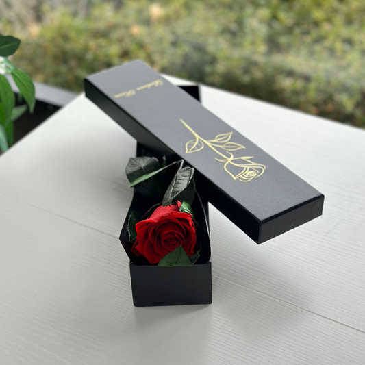 Single Rose - Preserved Rose