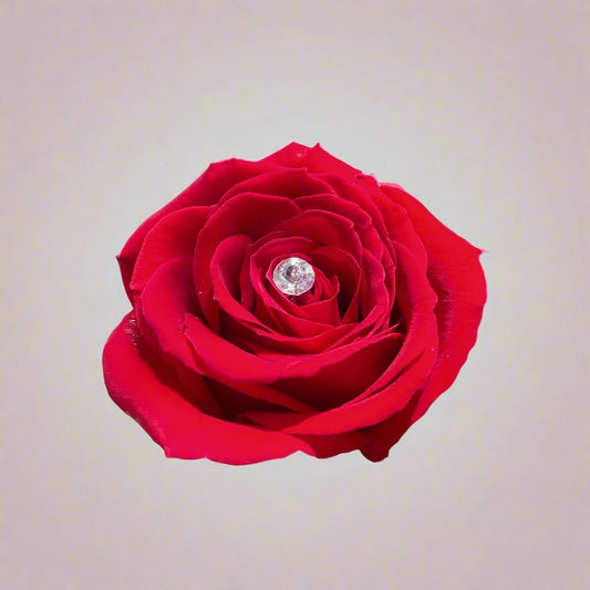 Full Crystals for Ramo Buchon - Magic World Flowers
