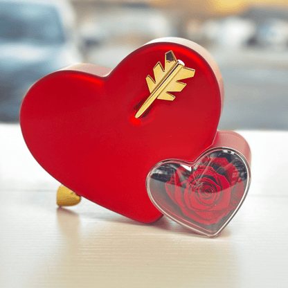 Heart Box with Mini heart necklace - Preserved Rose - Magic World Flowers