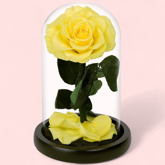 Preserved Yellow Rose in Glass Dome - Magic World Flowers